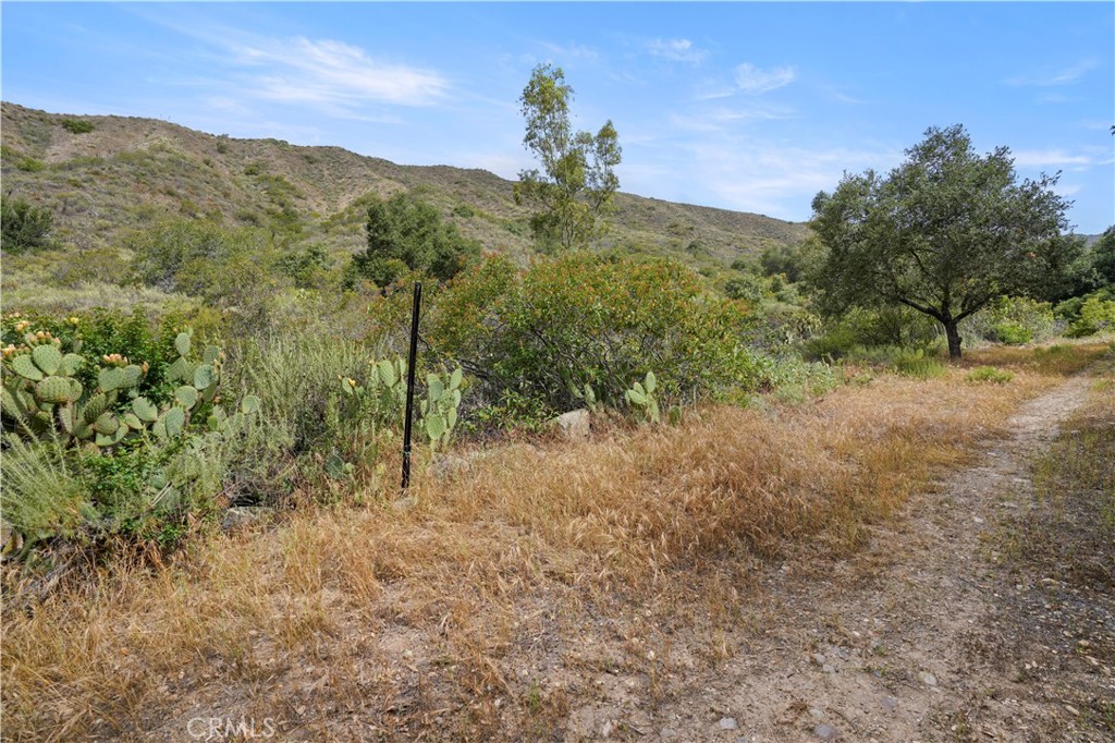 0 Vacant Land Lake Fallbrook, CA 92028 - Photo 20 of 29 a view of a forest with a mountain
