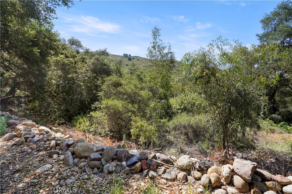 0 Vacant Land Lake Fallbrook, CA 92028 - Photo 21 of 29 a view of a forest with a tree
