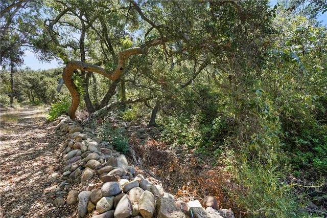 a view of a yard with a tree