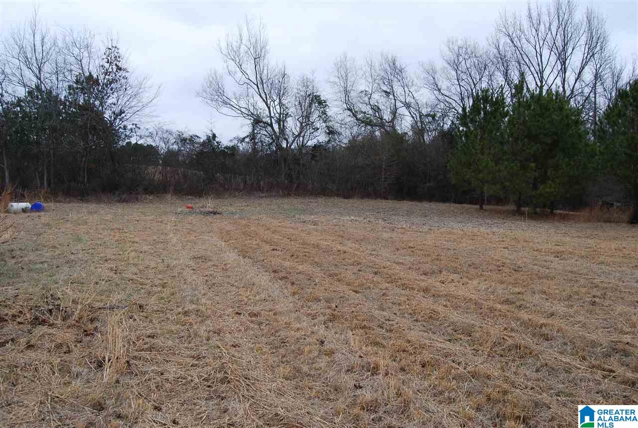 4747 Warrior Jasper Road, Unit 1 Dora, AL 35062 - Photo 6 of 9