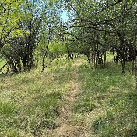 a view of outdoor space with trees all around