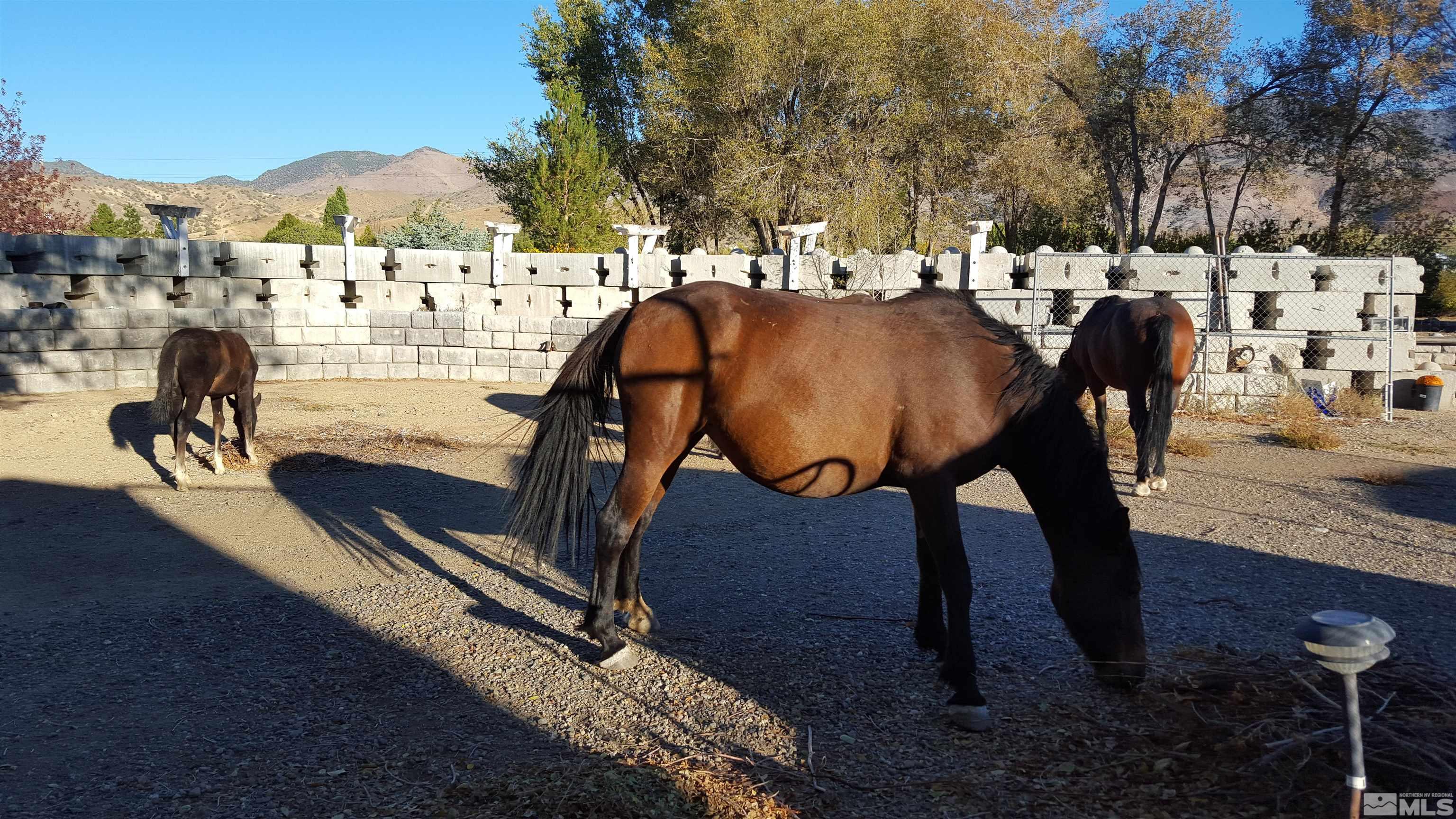 353 Sutro Springs Road Dayton, NV 89403 - Photo 15 of 15 Photo 15