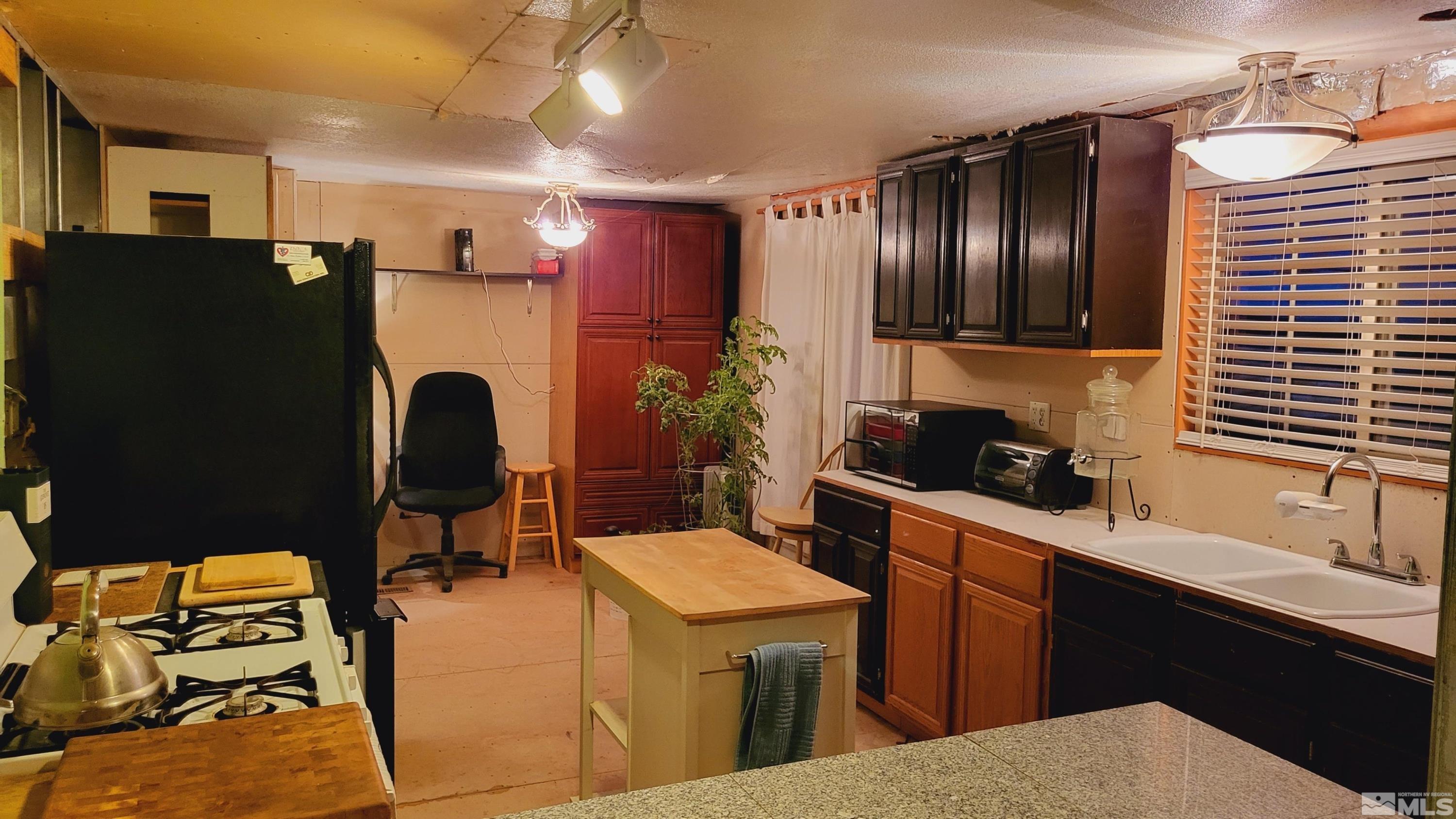 353 Sutro Springs Road Dayton, NV 89403 - Photo 5 of 15 Photo 5