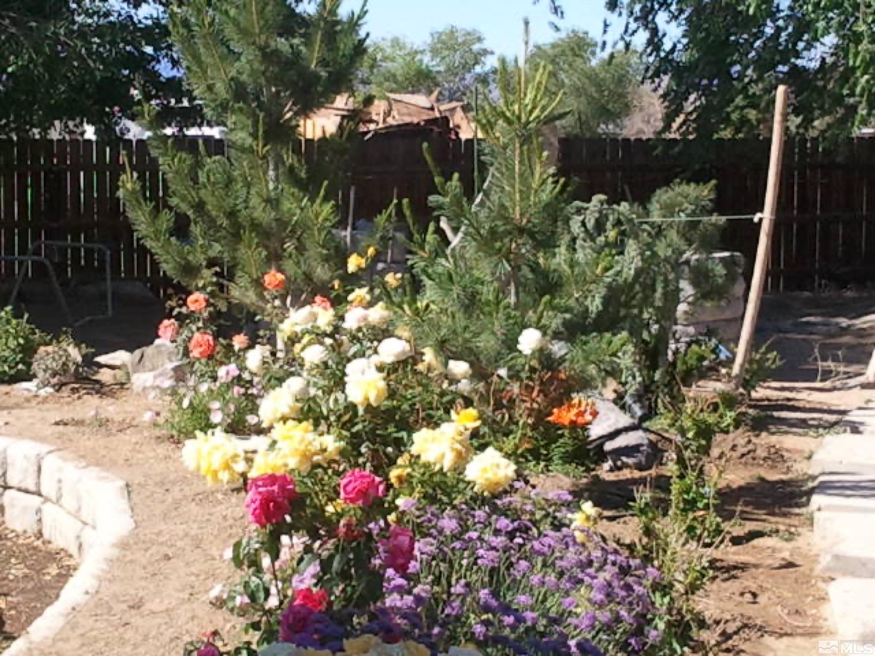 353 Sutro Springs Road Dayton, NV 89403 - Photo 9 of 15 Photo 9