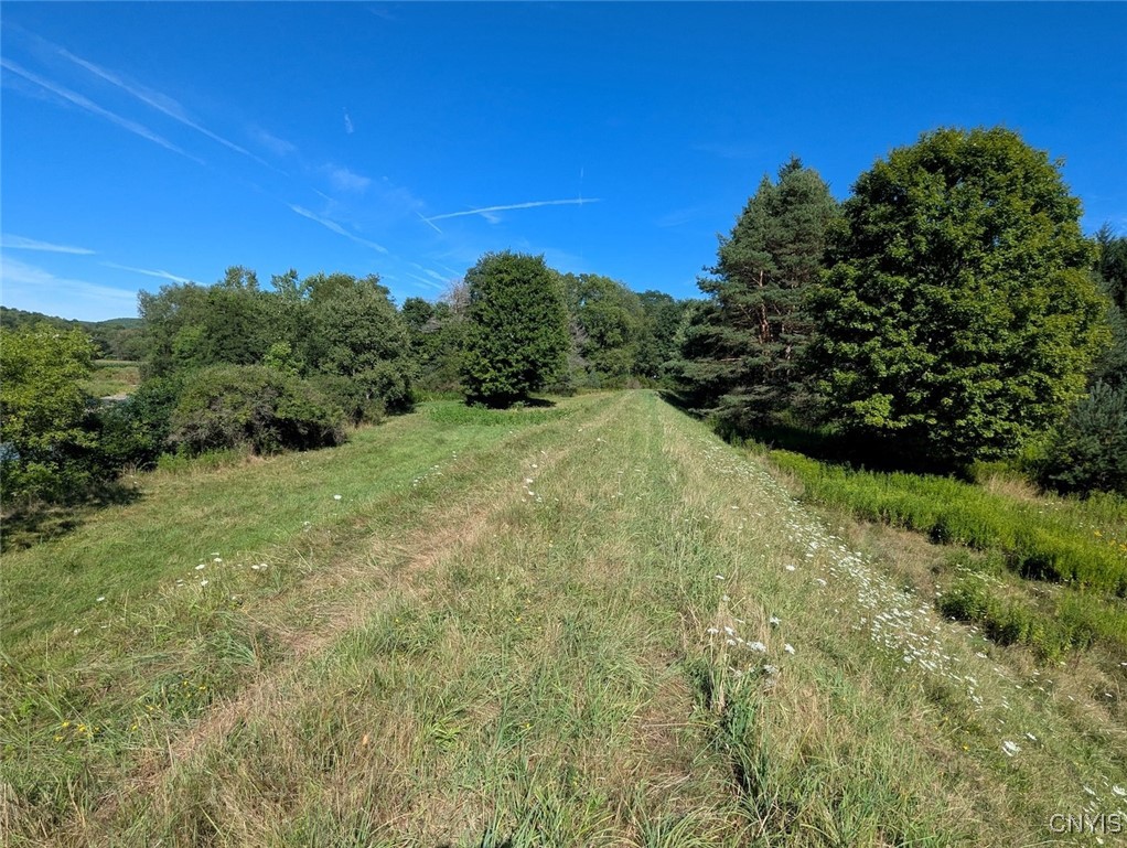 3452 Baldwin Road Wellsville, NY 14895 - Photo 18 of 33