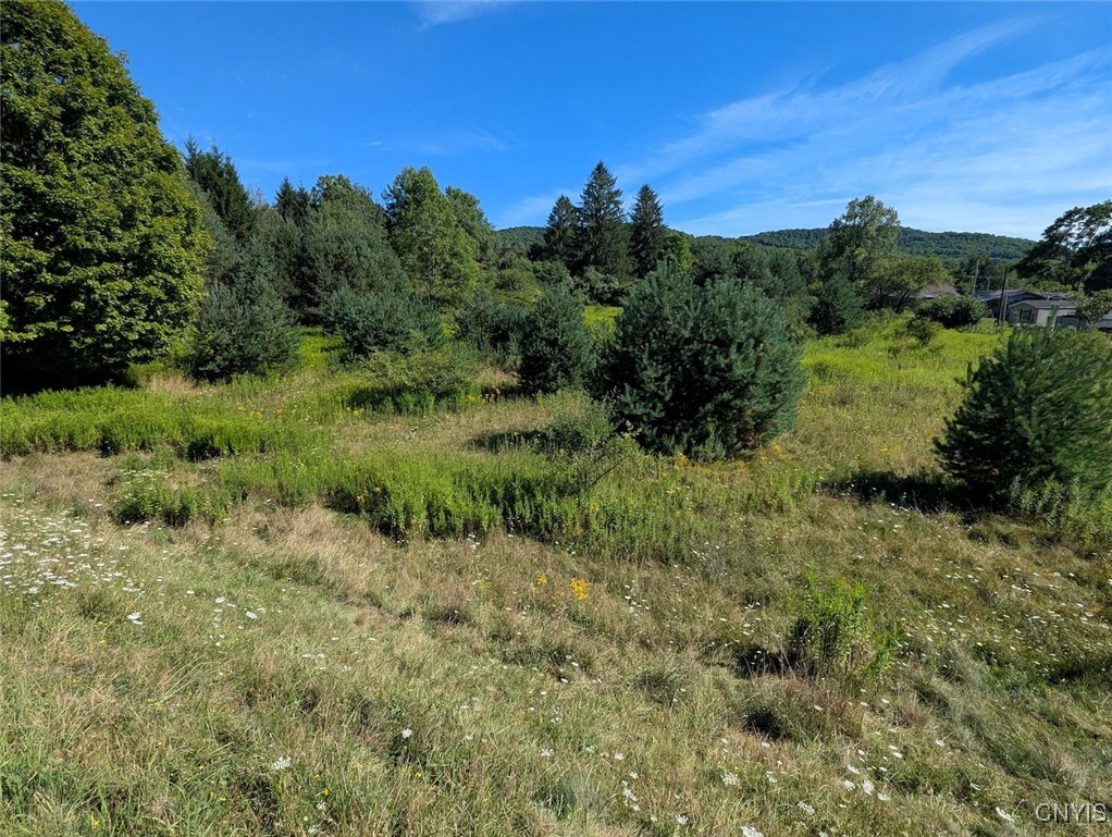 3452 Baldwin Road Wellsville, NY 14895 - Photo 19 of 33