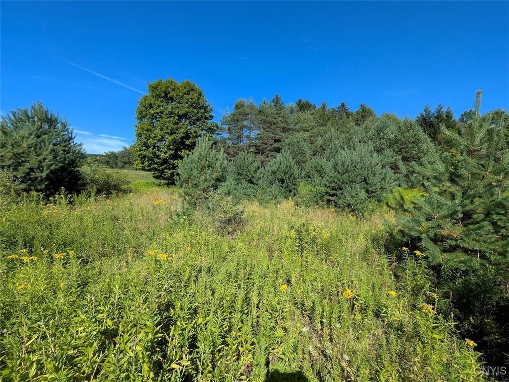 3452 Baldwin Road Wellsville, NY 14895 - Photo 21 of 33