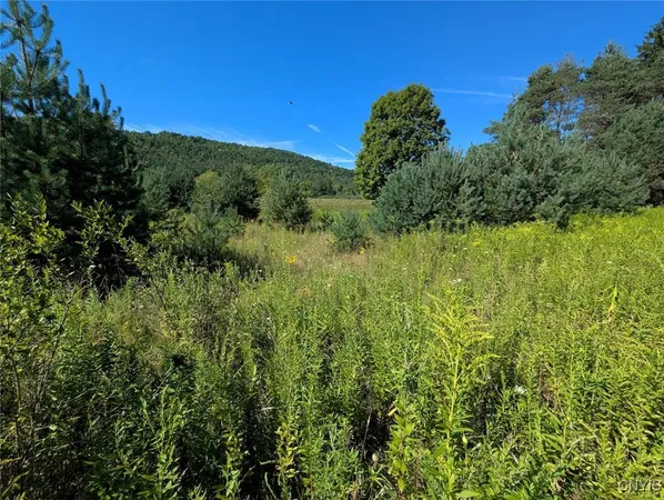 $44,900 | 3452 Baldwin Road, Wellsville, NY 14895