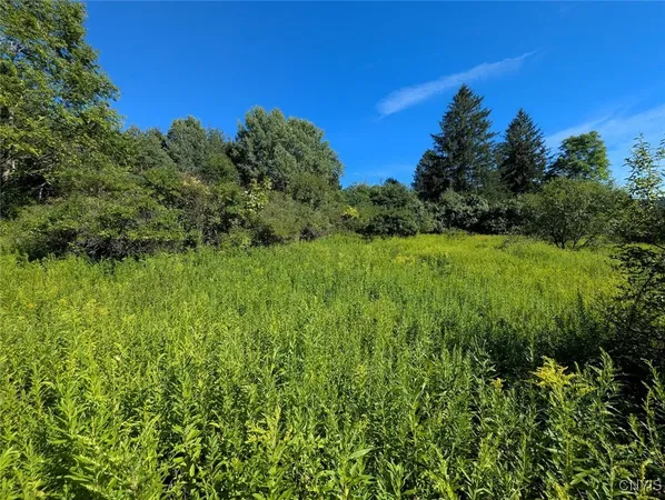 $44,900 | 3452 Baldwin Road, Wellsville, NY 14895