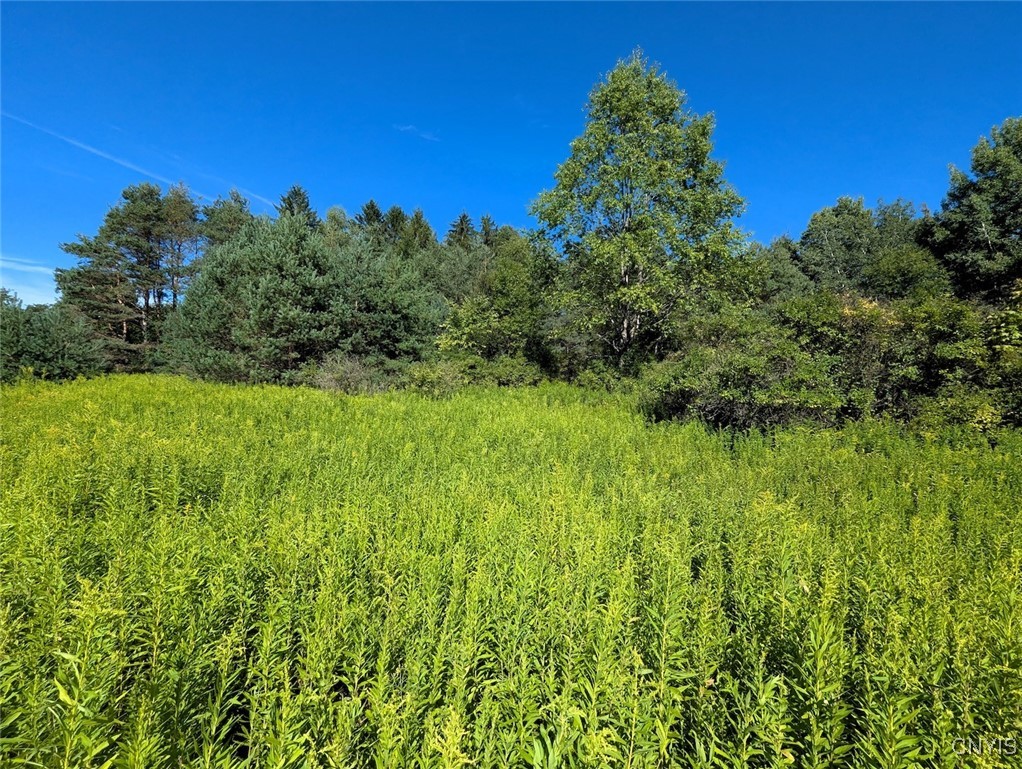 3452 Baldwin Road Wellsville, NY 14895 - Photo 24 of 33