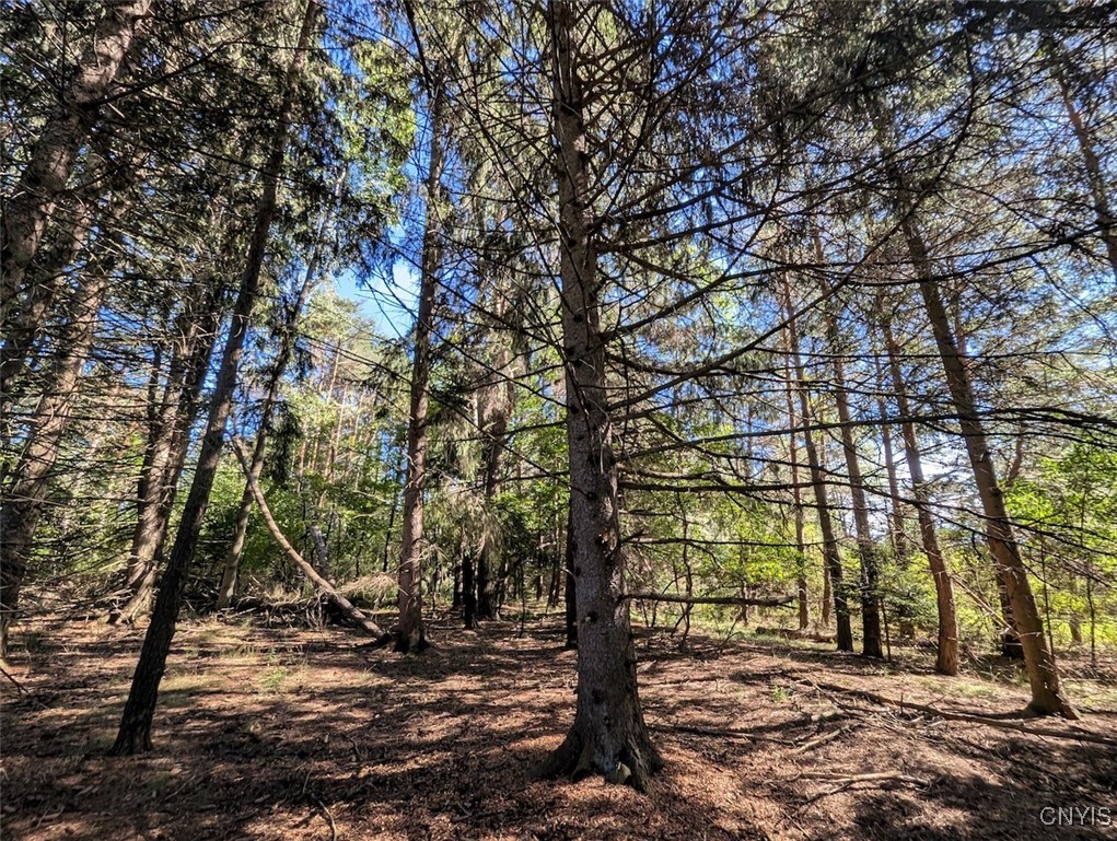 3452 Baldwin Road Wellsville, NY 14895 - Photo 25 of 33