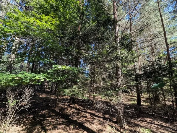 $44,900 | 3452 Baldwin Road, Wellsville, NY 14895