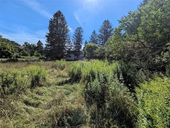 $44,900 | 3452 Baldwin Road, Wellsville, NY 14895