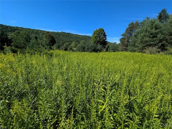 $44,900 | 3452 Baldwin Road, Wellsville, NY 14895