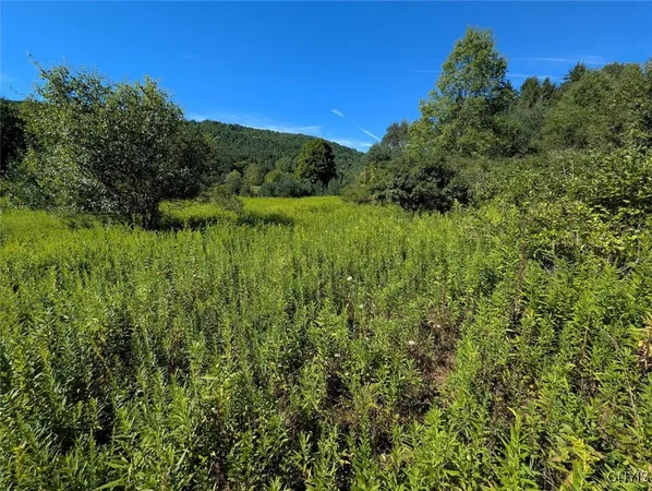$44,900 | 3452 Baldwin Road, Wellsville, NY 14895