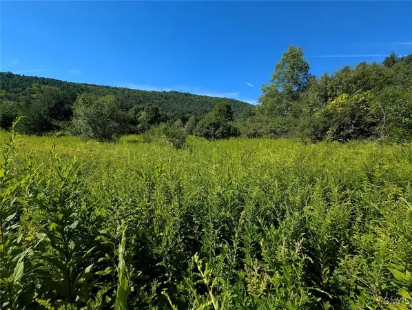 $44,900 | 3452 Baldwin Road, Wellsville, NY 14895