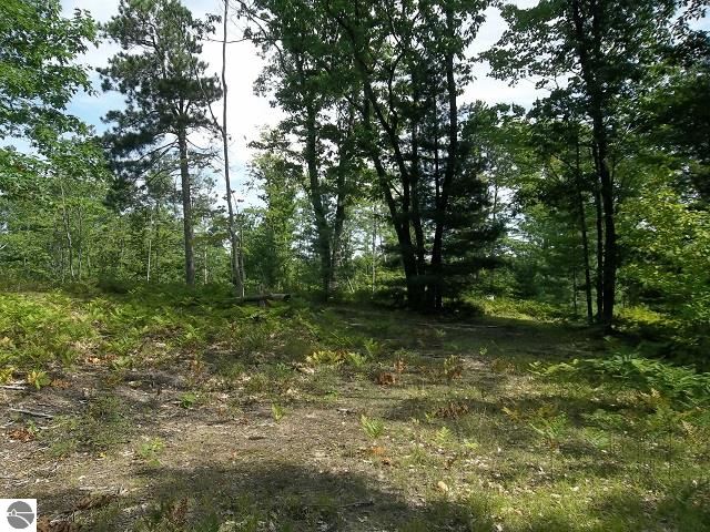 2576 Valley Road Northwest Kalkaska, MI 49646 - Photo 10 of 13 1789927-9.JPG