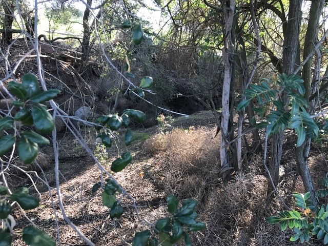 Lot 32 Cole Grade Road Valley Center, CA 92082 - Photo 11 of 12