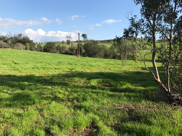 Lot 32 Cole Grade Road Valley Center, CA 92082 - Photo 3 of 12