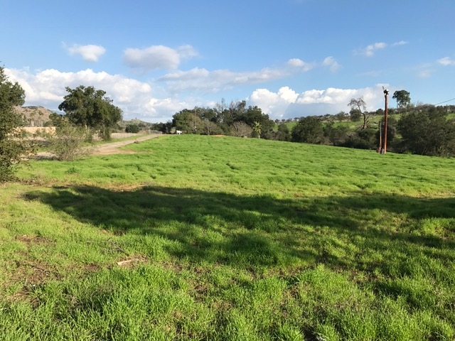 Lot 32 Cole Grade Road Valley Center, CA 92082 - Photo 4 of 12