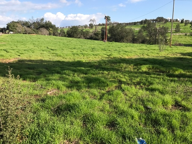 Lot 32 Cole Grade Road Valley Center, CA 92082 - Photo 5 of 12