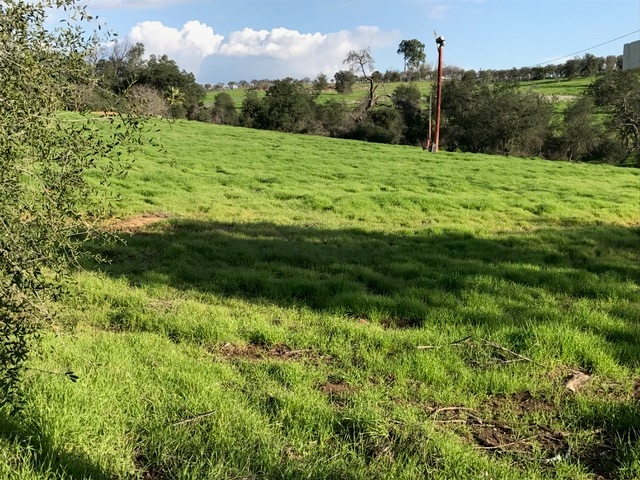 Lot 32 Cole Grade Road Valley Center, CA 92082 - Photo 6 of 12