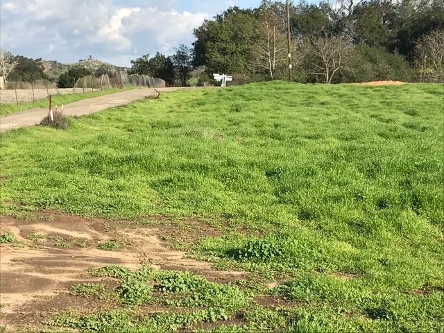 Lot 32 Cole Grade Road Valley Center, CA 92082 - Photo 8 of 12