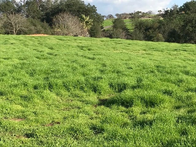 Lot 32 Cole Grade Road Valley Center, CA 92082 - Photo 9 of 12