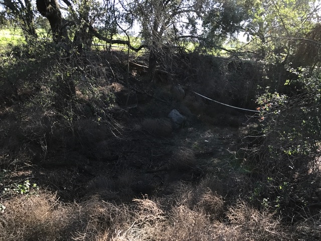 Lot 32 Cole Grade Road Valley Center, CA 92082 - Photo 10 of 12