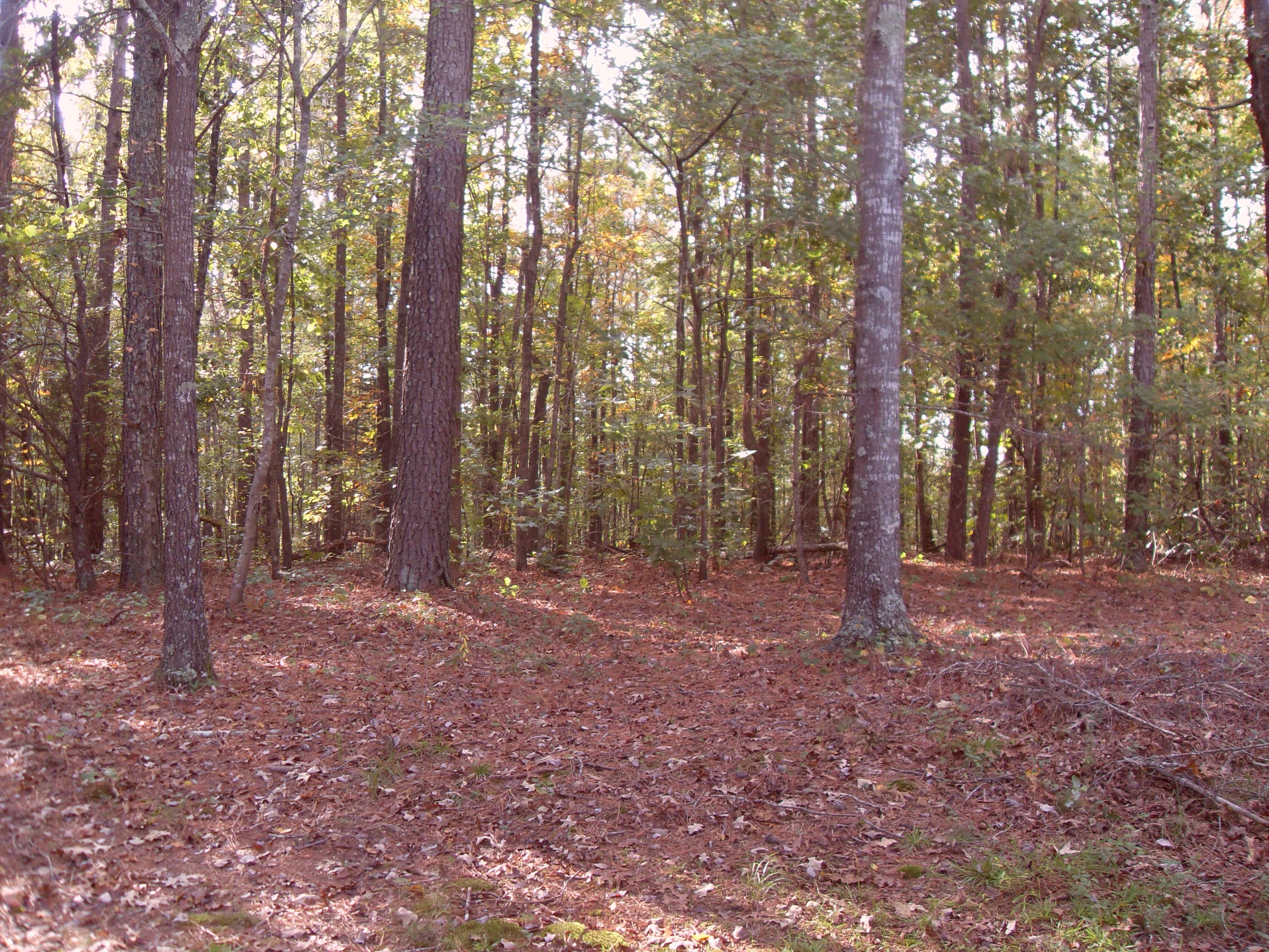3943 Standing Road Tunnel Hill, GA 30755 - Photo 22 of 25 SDC11904