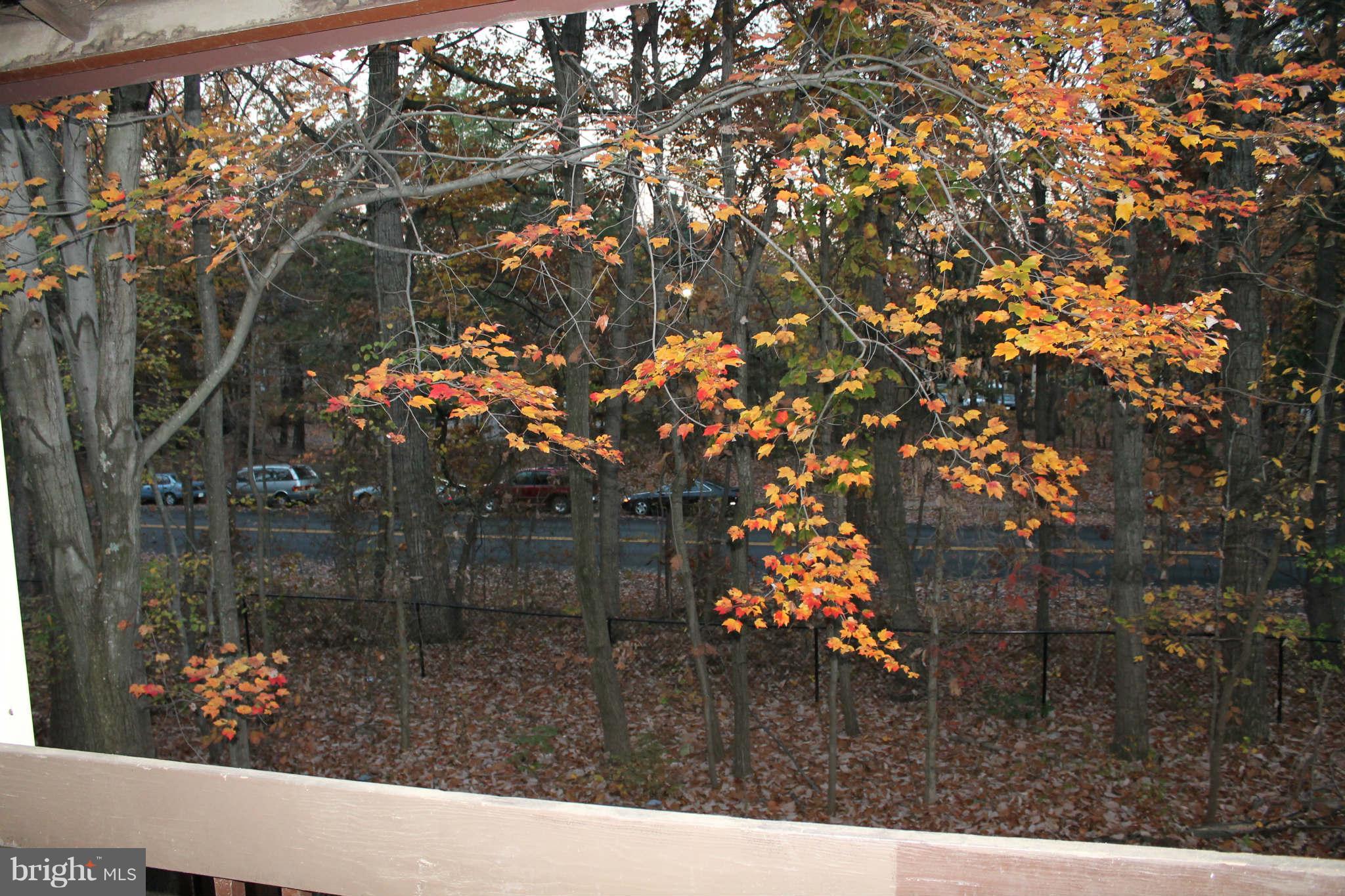 2483 Pyrenees Court Reston, VA 20191 - Photo 13 of 20 View from Bedroom Balcony