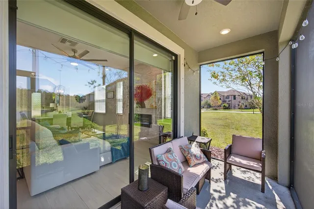a view of a swimming pool with a lawn chairs under palm trees