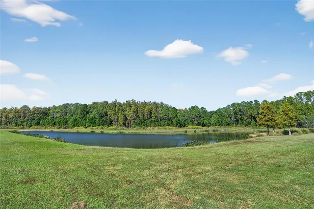 a view of swimming pool with a yard and large tree