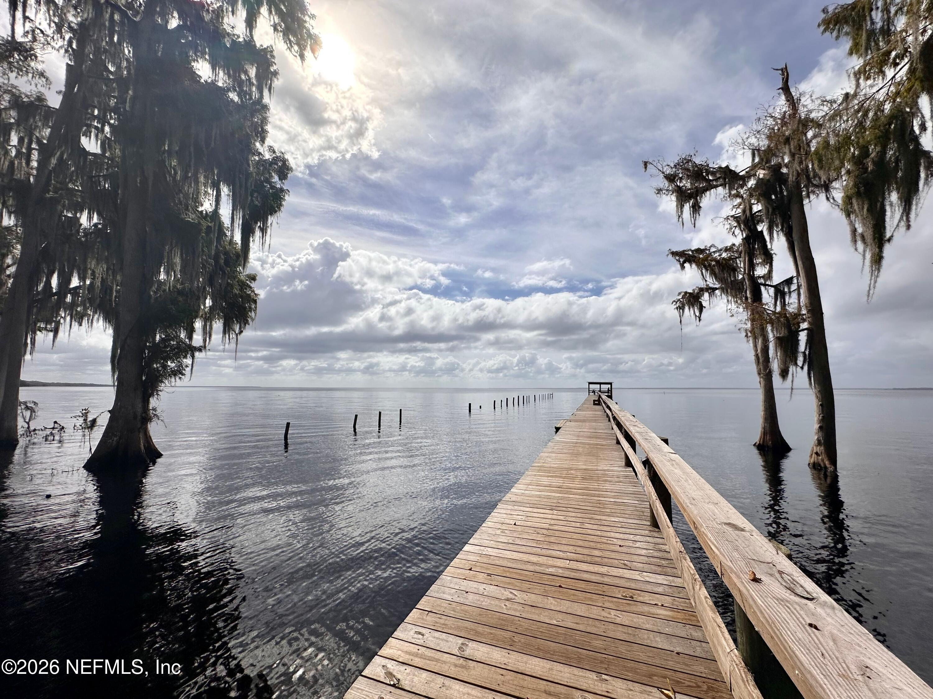 233 Marie Avenue Georgetown, FL 32139 - Photo 13 of 15 a view of a house with large trees