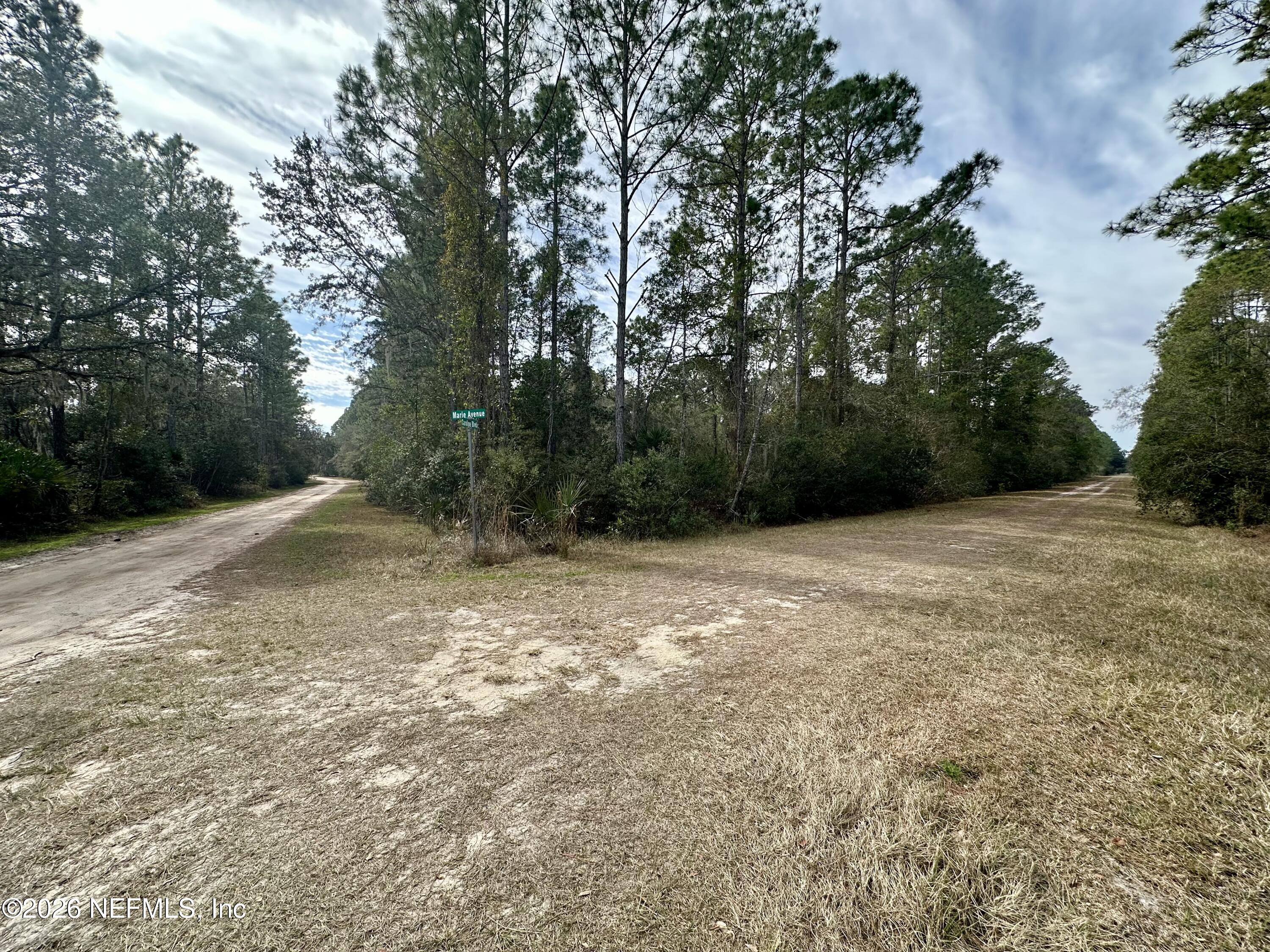 233 Marie Avenue Georgetown, FL 32139 - Photo 2 of 15 a view of a field with trees in the background