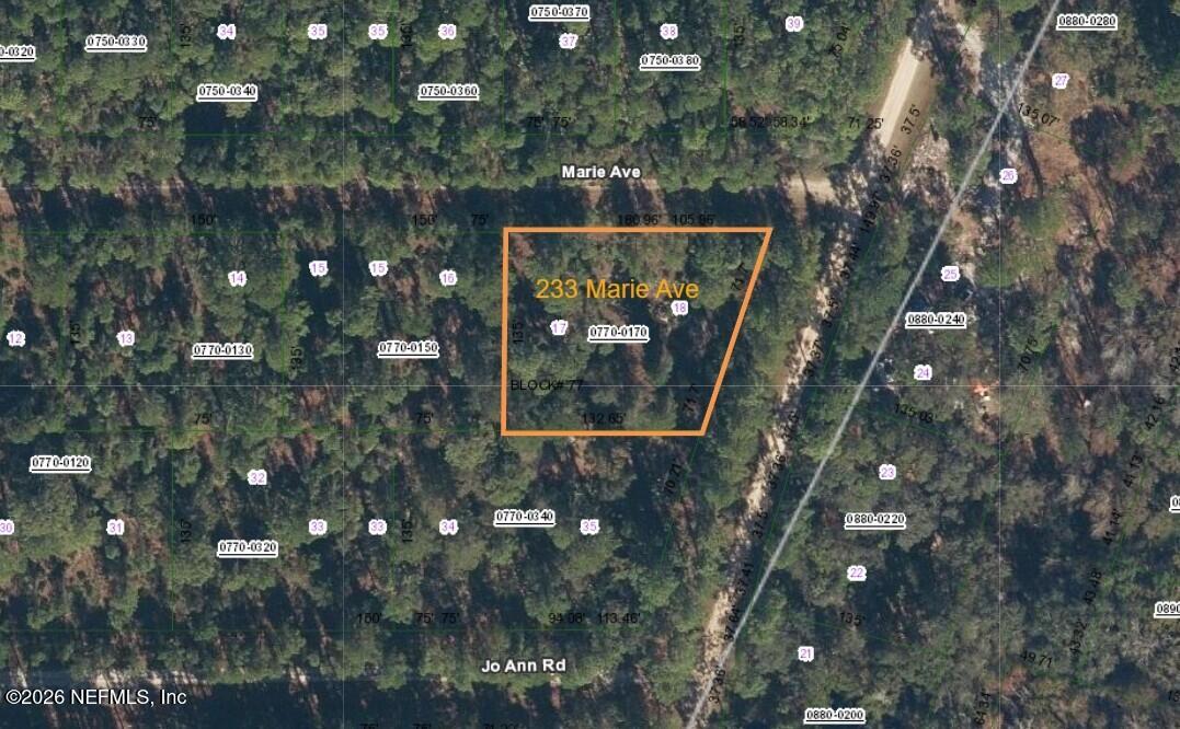 233 Marie Avenue Georgetown, FL 32139 - Photo 7 of 15 a view of a tree