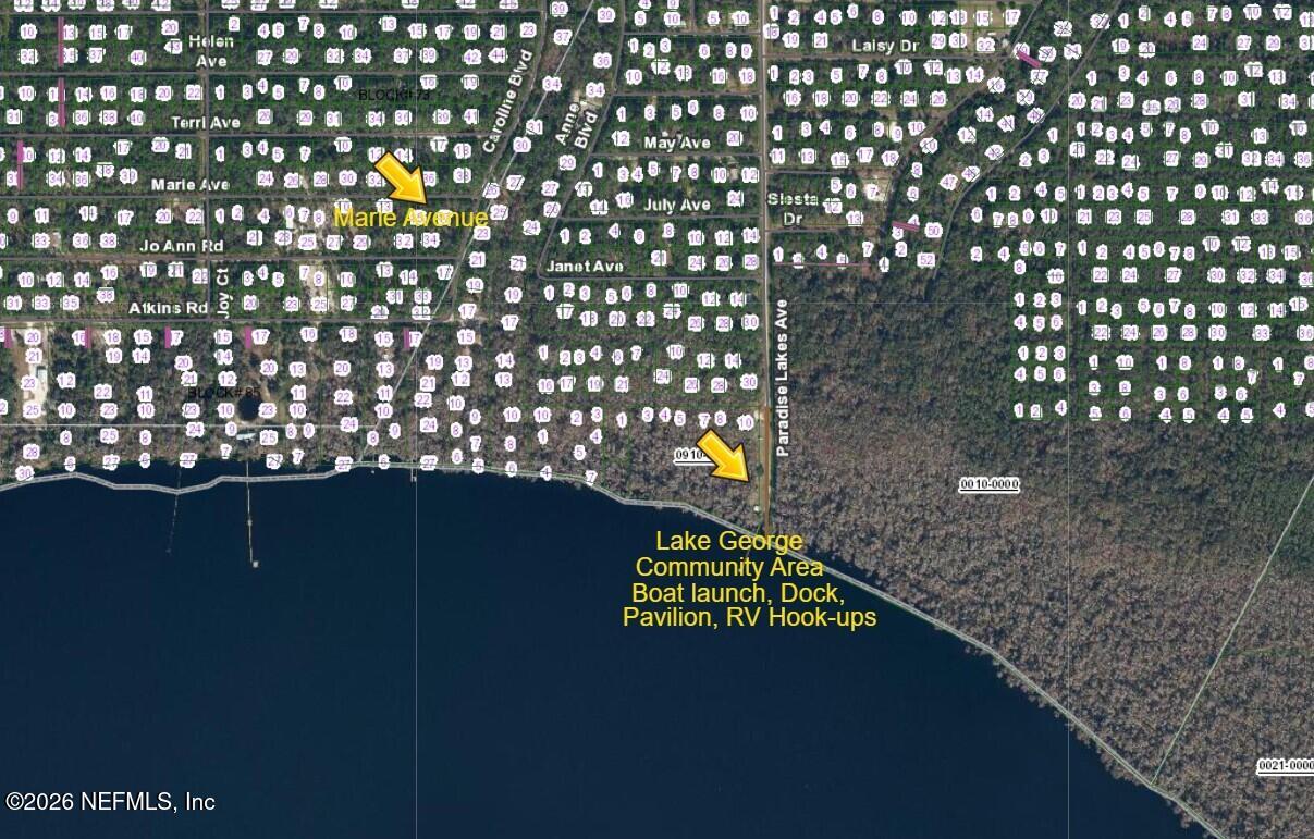 233 Marie Avenue Georgetown, FL 32139 - Photo 8 of 15 a picture of a park