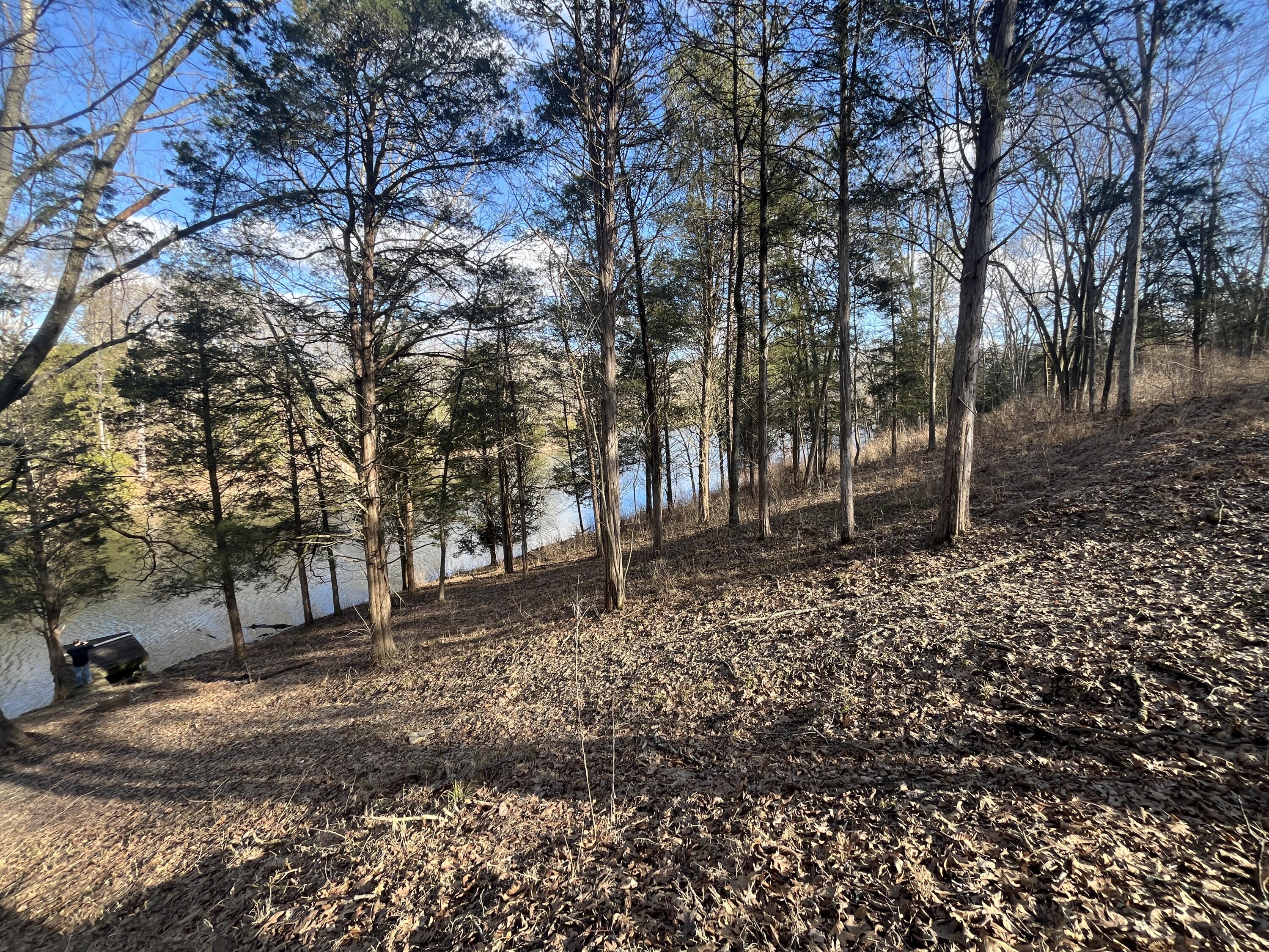 3105 Gratz Road Owenton, KY 40359 - Photo 14 of 37