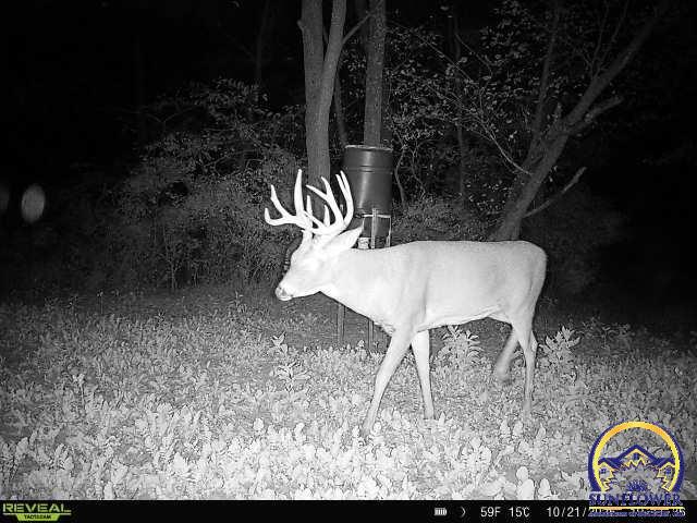 10920 South Jordan Road Wakarusa, KS 66546 - Photo 28 of 29