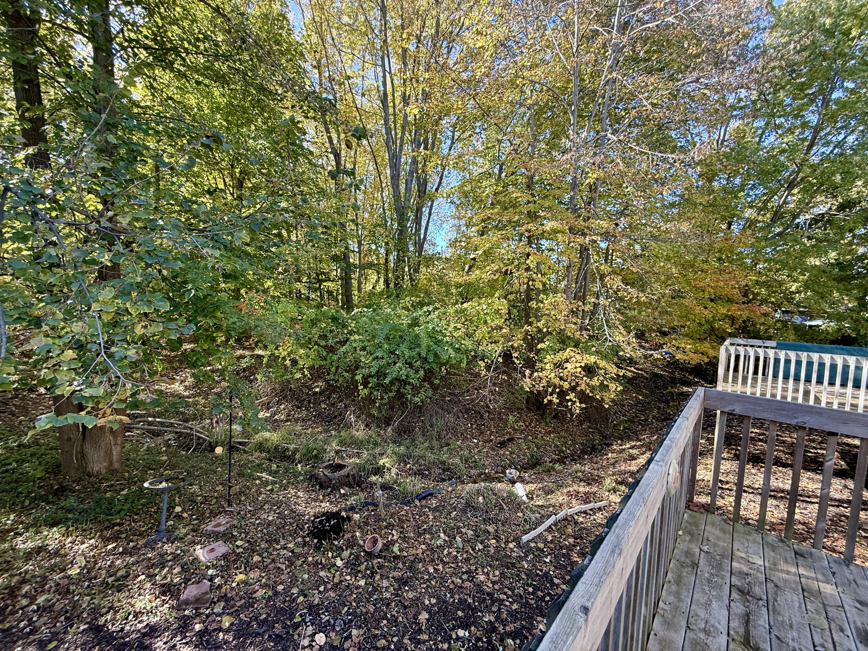 303 Wiley Road, Unit 10 Douglas, MI 49408 - Photo 19 of 43 Primary views the woods