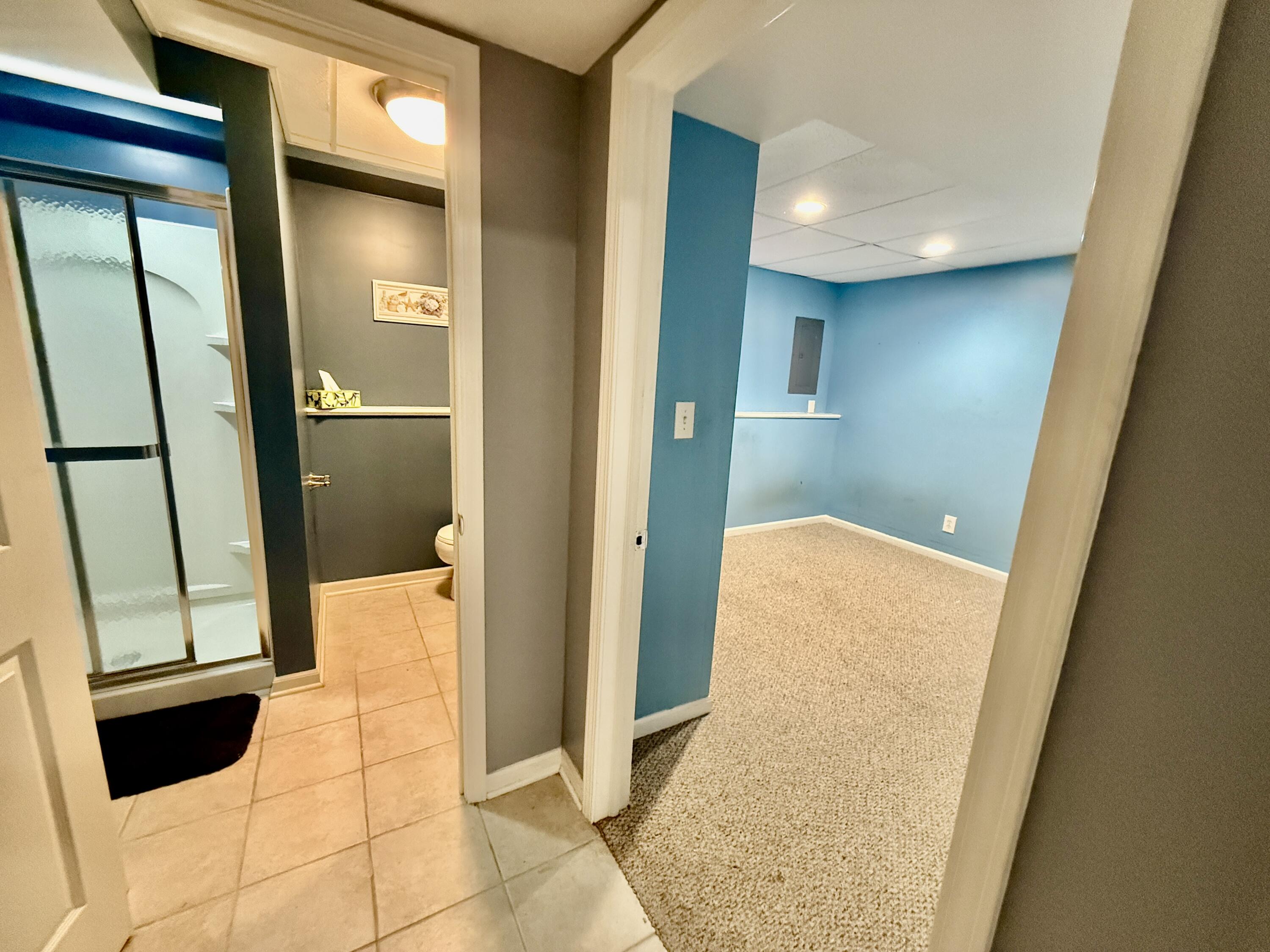 303 Wiley Road, Unit 10 Douglas, MI 49408 - Photo 27 of 43 Full lower level bath