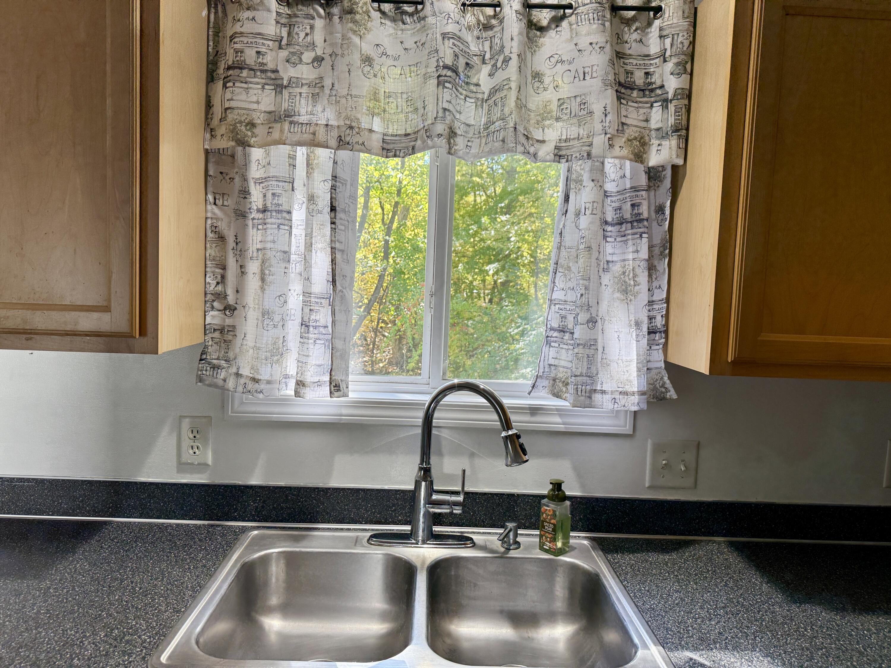 303 Wiley Road, Unit 10 Douglas, MI 49408 - Photo 35 of 43 window overlooking the woods