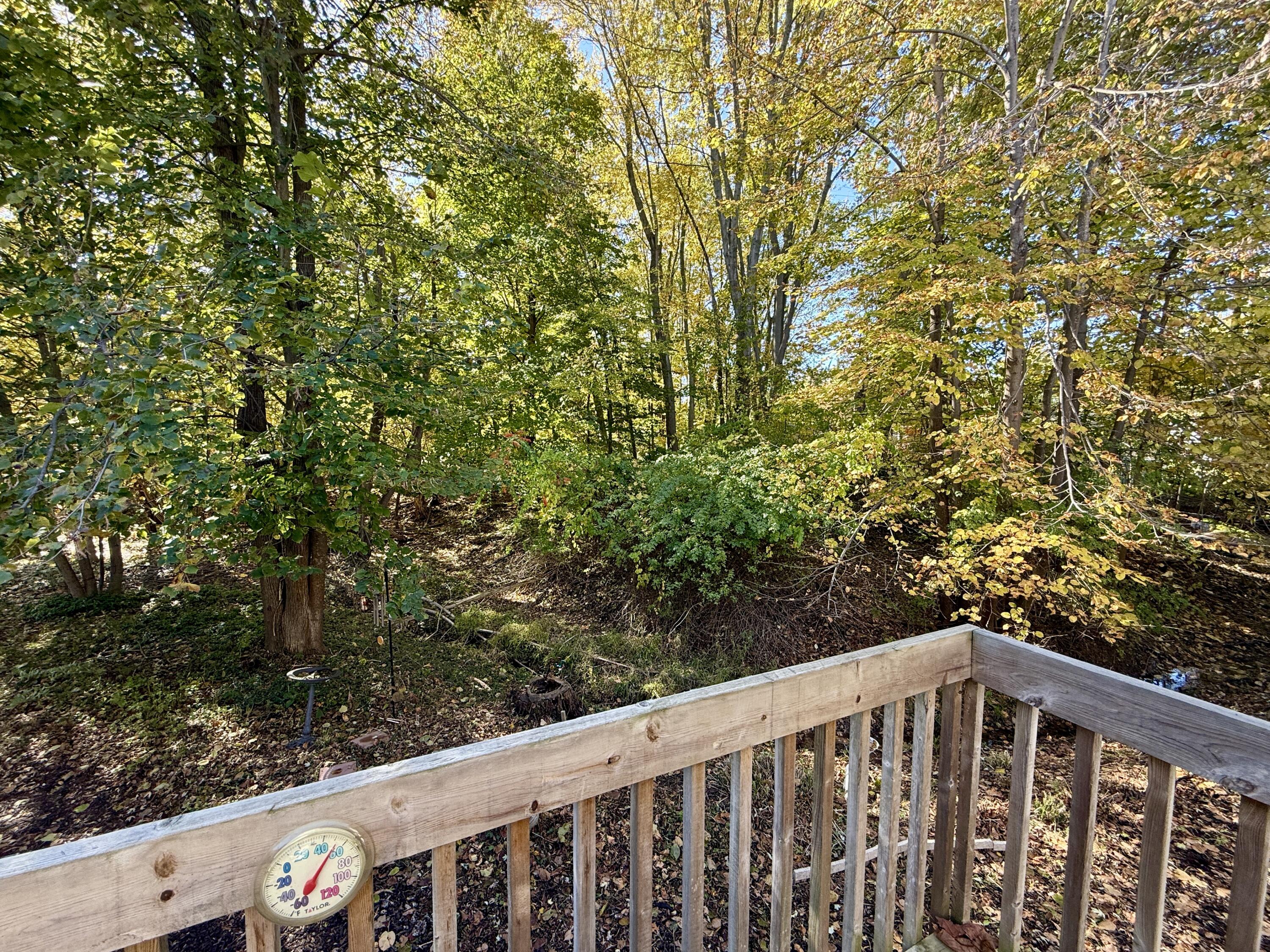 303 Wiley Road, Unit 10 Douglas, MI 49408 - Photo 4 of 43 Great woodland views