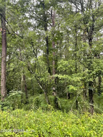 $65,000 | 4819 Gopher Circle, Middleburg, FL 32068