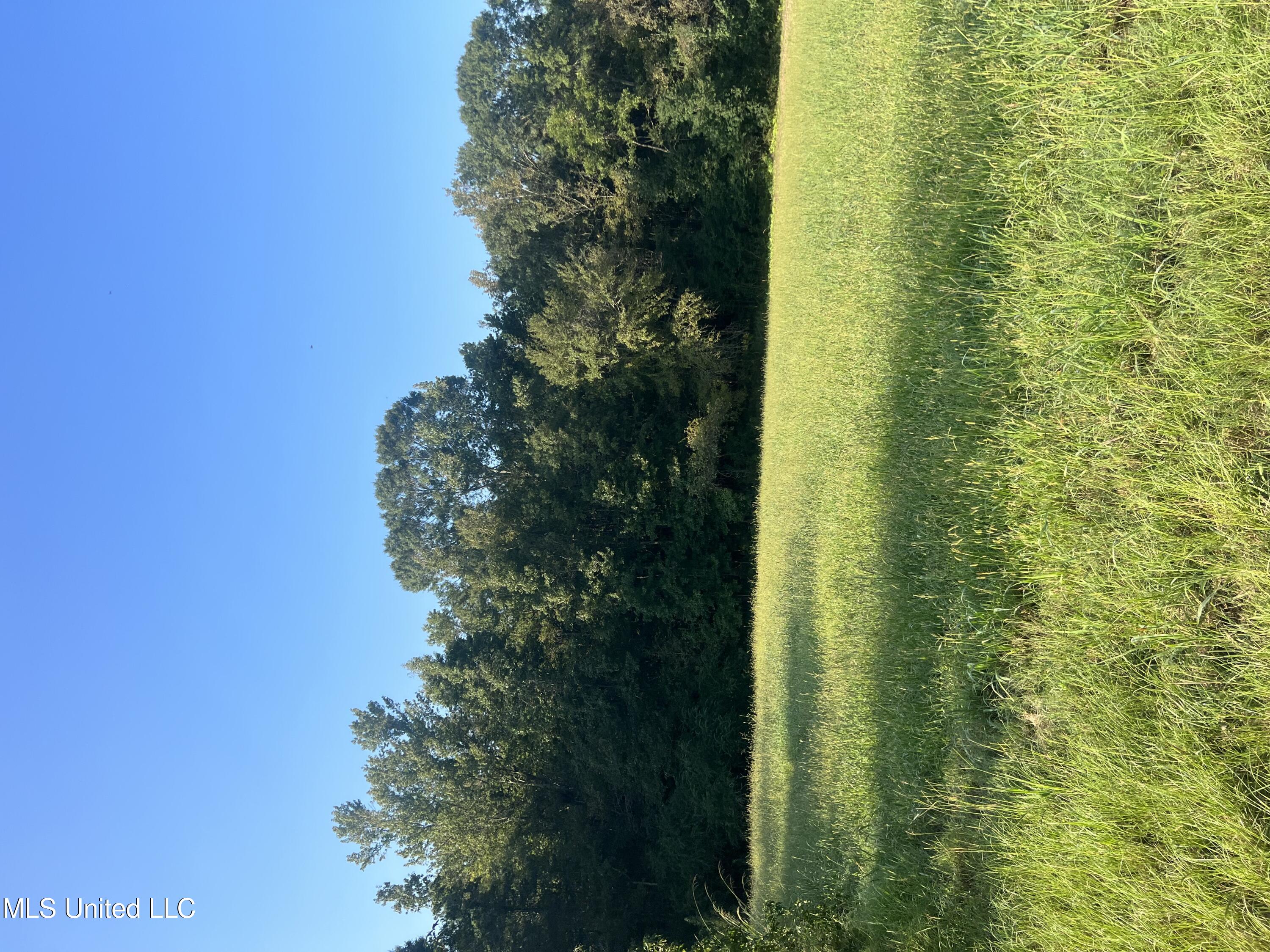 Ratliff Road Raymond, MS 39154 - Photo 4 of 19 3C843945-EAC9-49D3-B529-7D7ED495AE9C