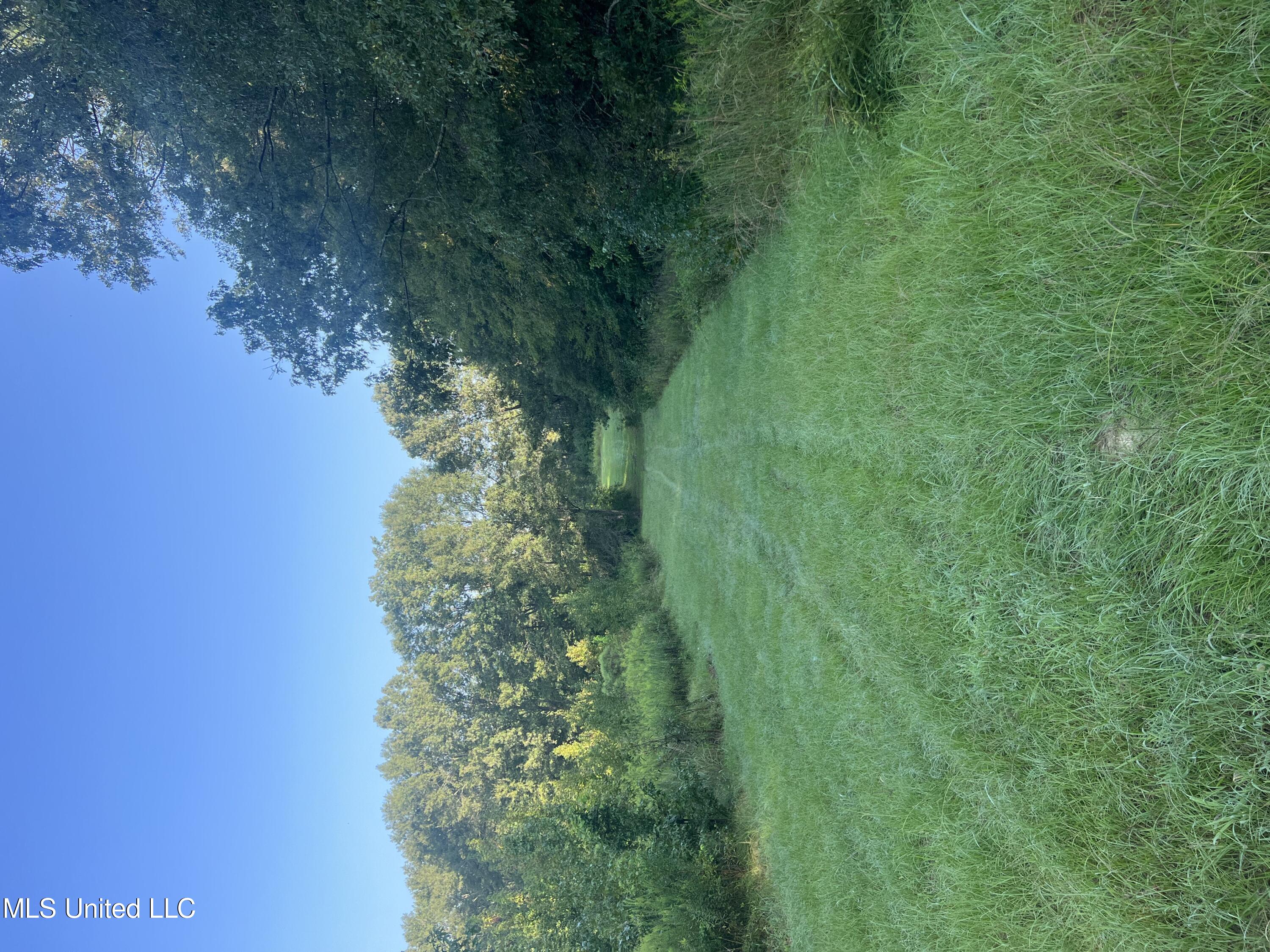 Ratliff Road Raymond, MS 39154 - Photo 8 of 19 BDF0478F-8F0D-4977-8ECB-C44BB252072E