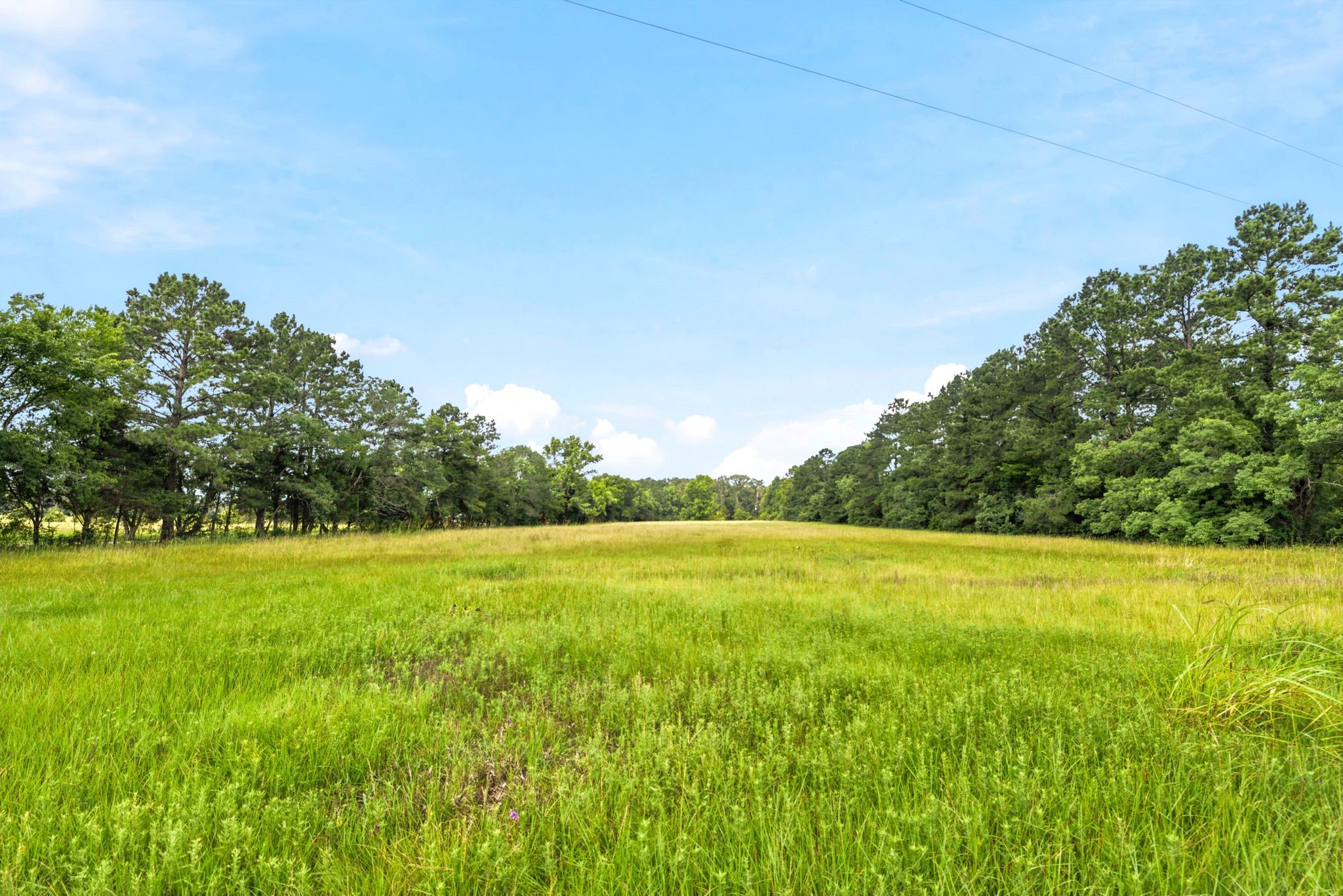 Lot 1 Mount Zion Road New Waverly, TX 77358 - Photo 11 of 33