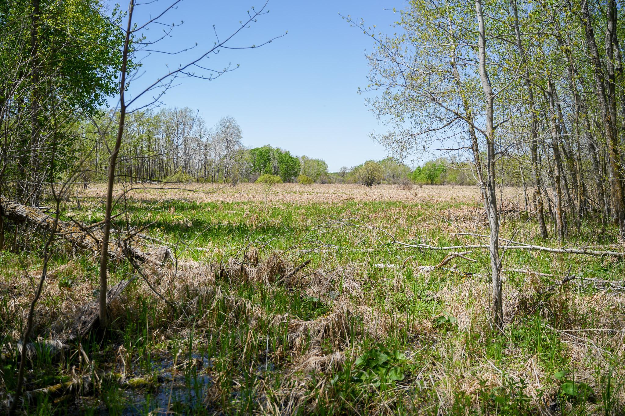 Tbd 140 Street Frazee, MN 56544 - Photo 74 of 149