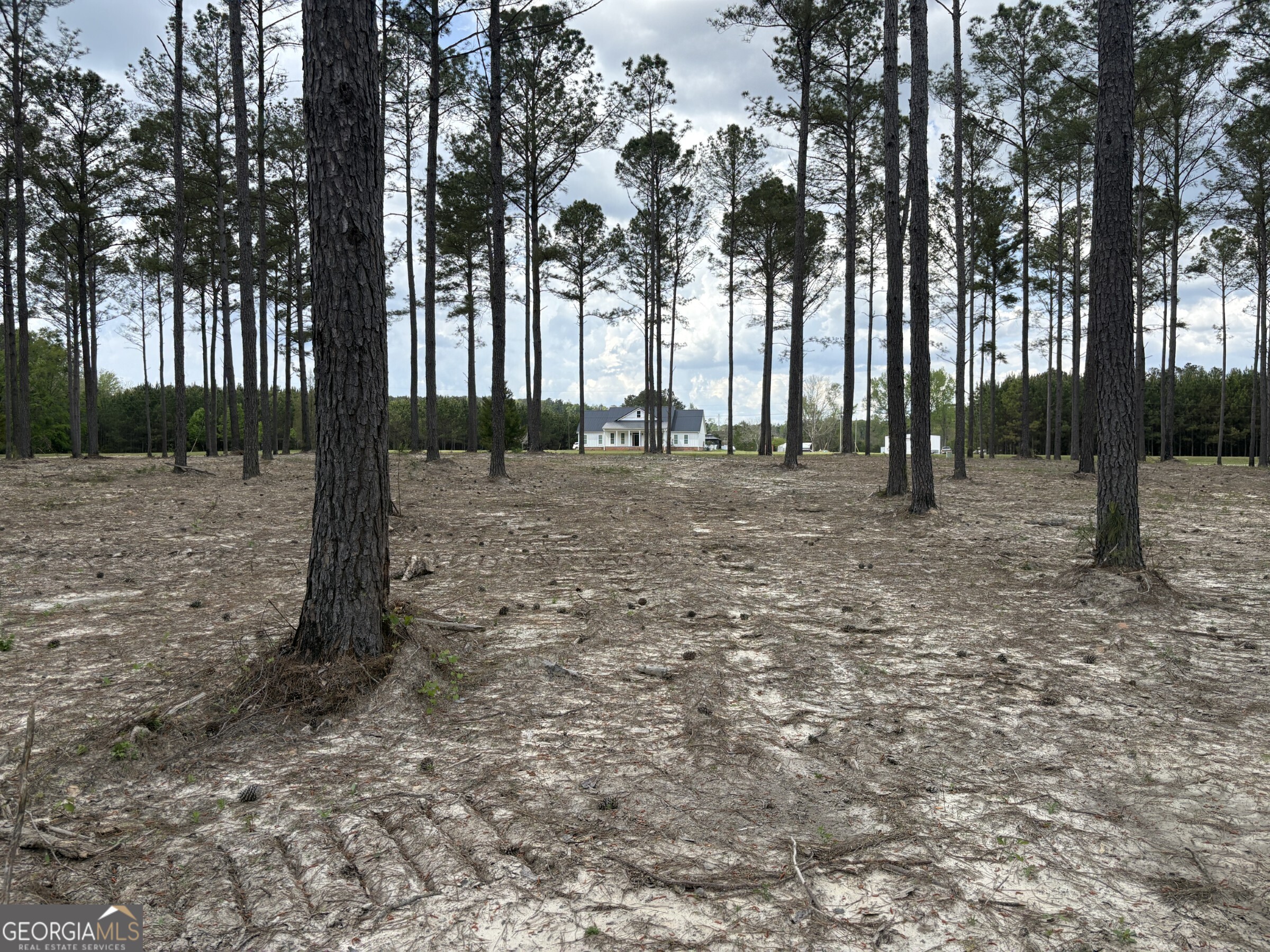 T2 Dc Hardie Road Gordon, GA 31031 - Photo 11 of 12 a view of outdoor space with trees