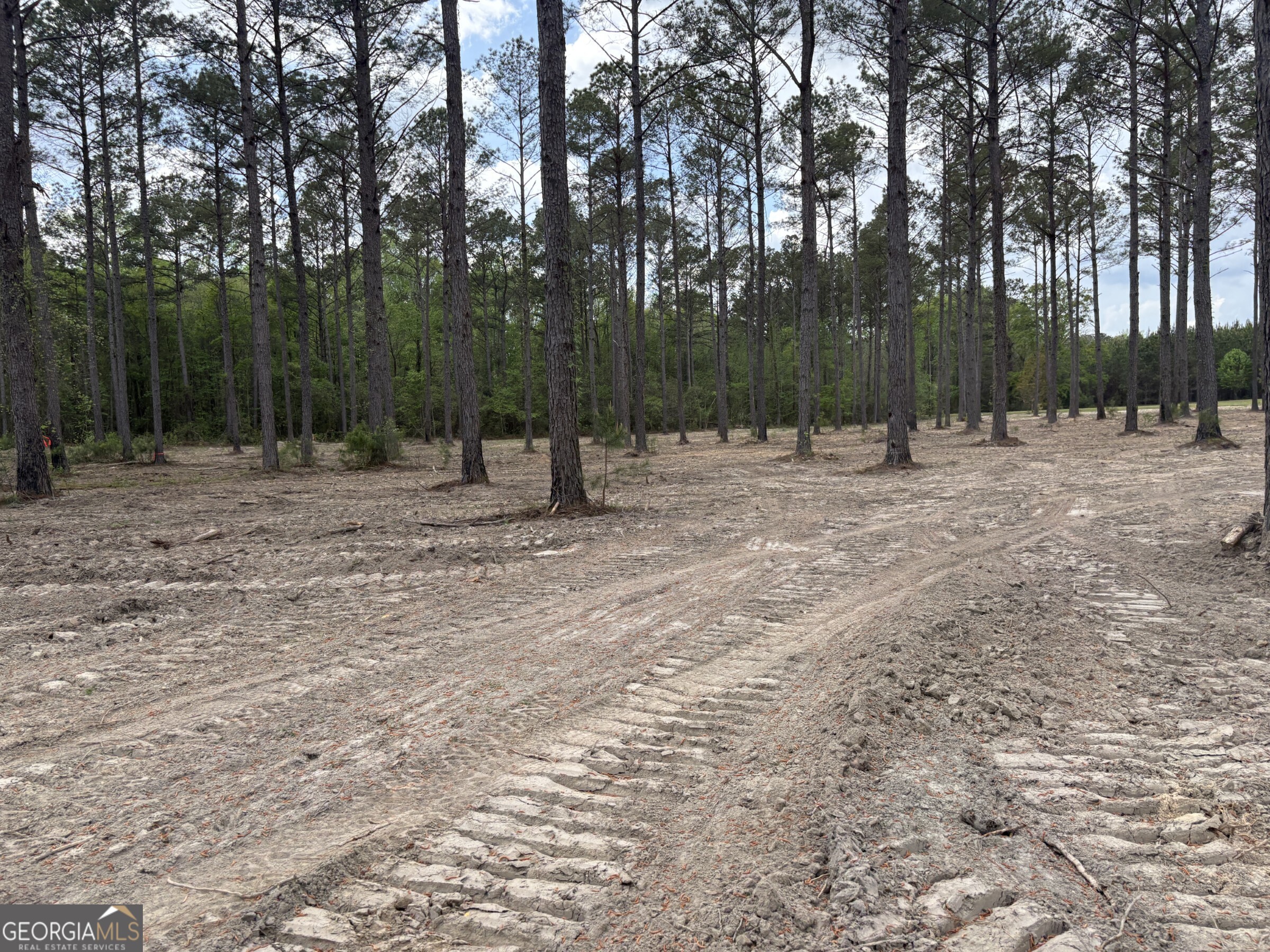 T2 Dc Hardie Road Gordon, GA 31031 - Photo 12 of 12 a fire hydrant in the middle of a field
